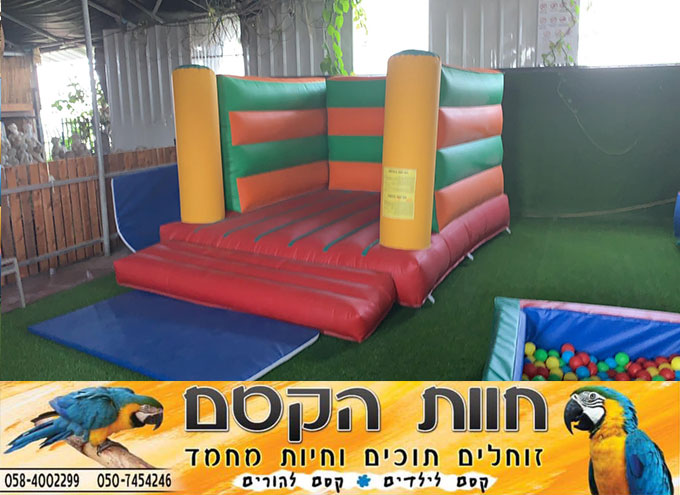 جديد في كفر قاسم - חוות הקסם